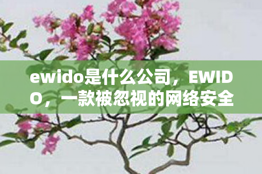 一款被忽视的网络安全工具图片