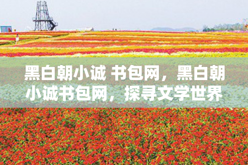 黑白朝小诚 书包网图片