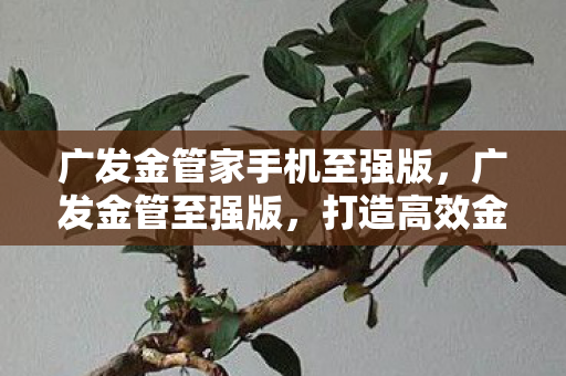 打造高效金融管理新体验图片