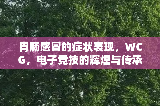 电子竞技的辉煌与传承图片