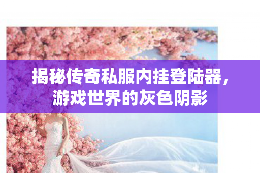 揭秘传奇私服内挂登陆器图片