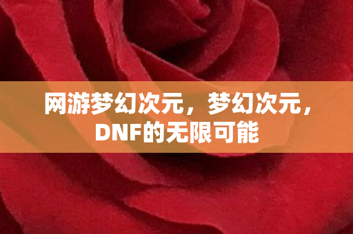 DNF的无限可能图片