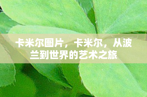 从波兰到世界的艺术之旅图片