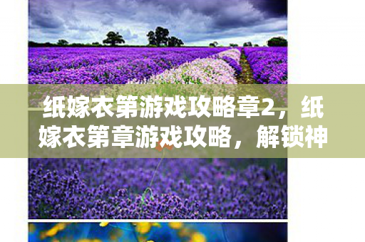纸嫁衣第游戏攻略章2图片
