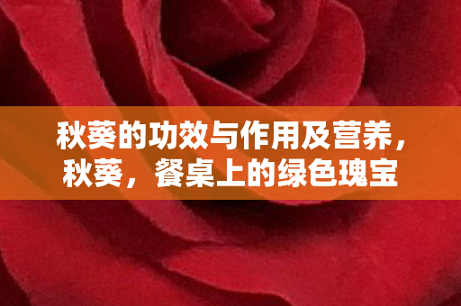 秋葵的功效与作用及营养图片