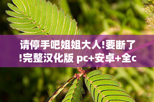 请停手吧姐姐大人图片