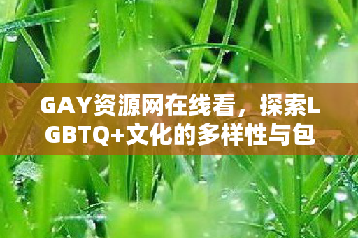 文化的多样性与包容性图片