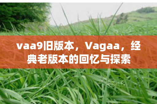 经典老版本的回忆与探索图片