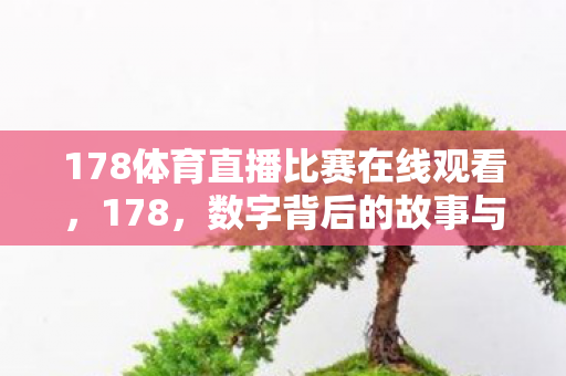 178体育直播比赛在线观看图片