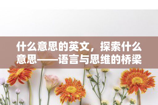 语言与思维的桥梁图片