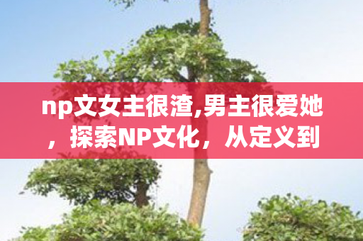 全面解析NP的魅力图片