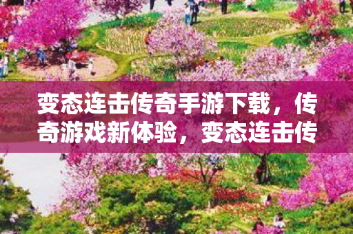 变态连击传奇手游下载图片