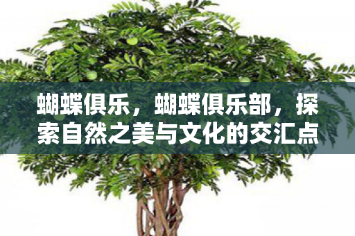 探索自然之美与文化的交汇点图片