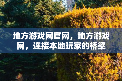 连接本地玩家的桥梁图片