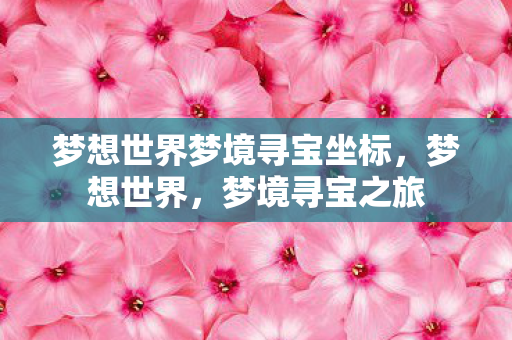 梦想世界梦境寻宝坐标，梦想世界，梦境寻宝之旅