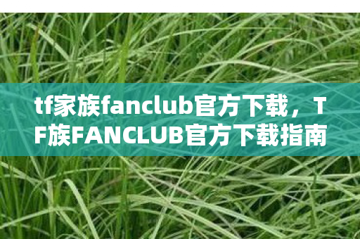 TF族FANCLUB官方下载指南图片