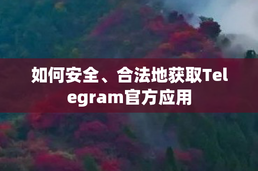 合法地获取Telegram官方应用图片