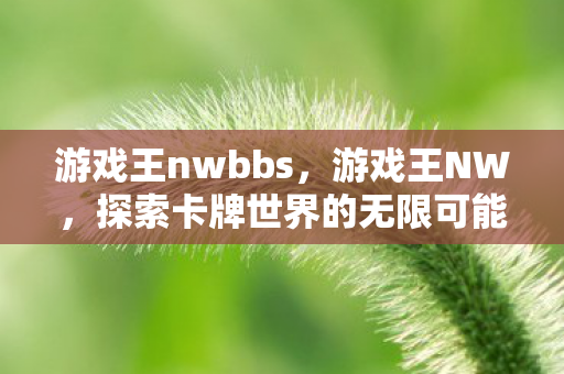 探索卡牌世界的无限可能图片