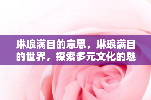 探索多元文化的魅力图片