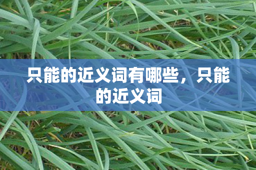 只能的近义词有哪些图片