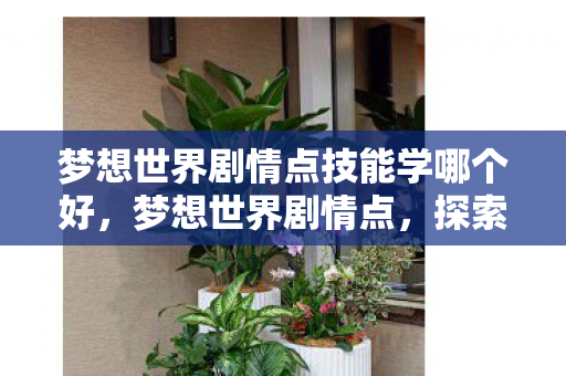 梦想世界剧情点技能学哪个好，梦想世界剧情点，探索未知，追寻内心之光