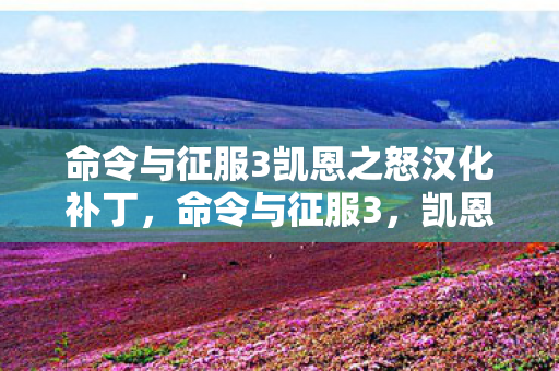 命令与征服3凯恩之怒汉化补丁图片