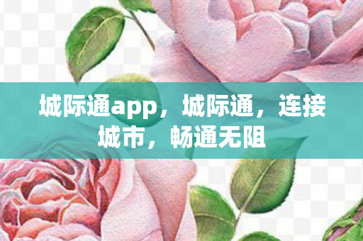 城际通app图片