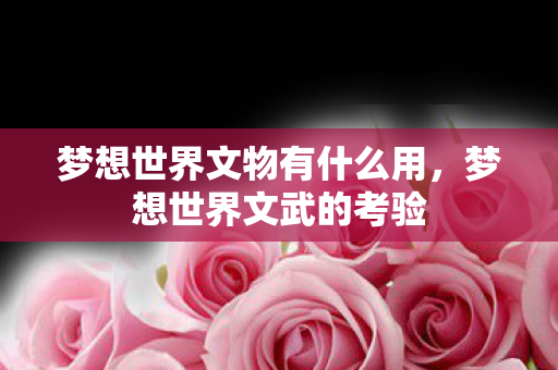 梦想世界文物有什么用，梦想世界文武的考验