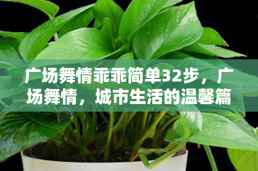 广场舞情乖乖简单32步图片