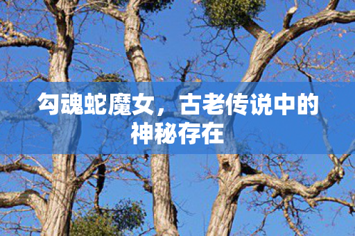 古老传说中的神秘存在图片