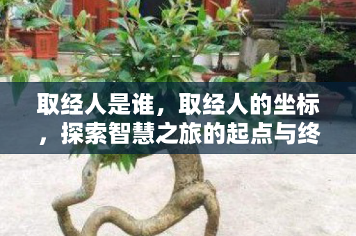 探索智慧之旅的起点与终点图片