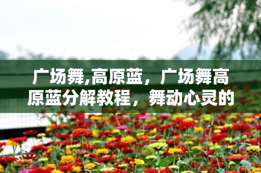 广场舞高原蓝分解教程图片