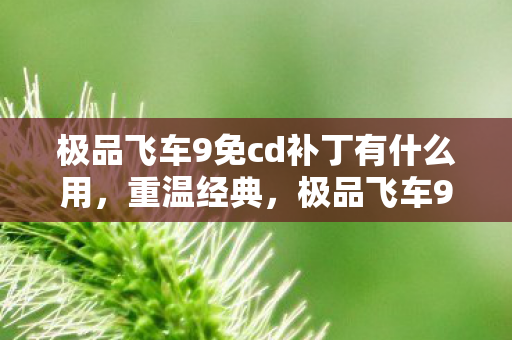 极品飞车9免cd补丁有什么用图片