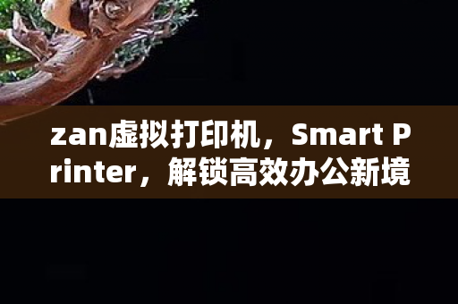 解锁高效办公新境界的虚拟打印机图片