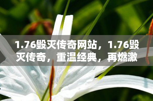 76毁灭传奇网站图片