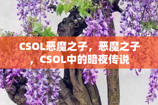 CSOL中的暗夜传说图片