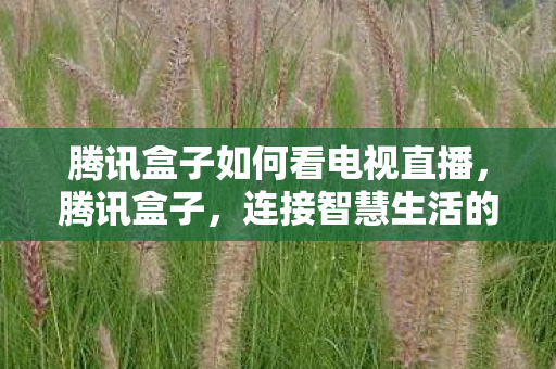 连接智慧生活的智能新选择图片