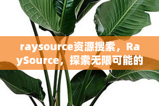 raysource资源搜索图片