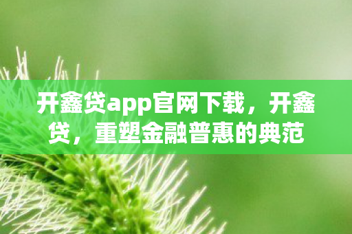 开鑫贷app官网下载图片