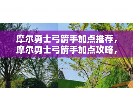 摩尔勇士弓箭手加点推荐图片