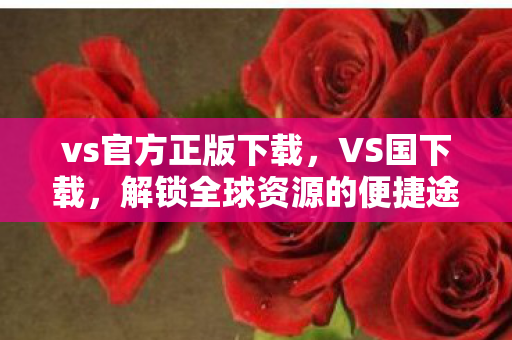 解锁全球资源的便捷途径图片