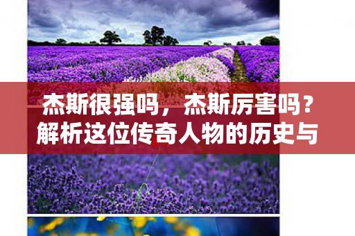 解析这位传奇人物的历史与影响图片