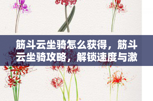 解锁速度与激情的云端之旅图片