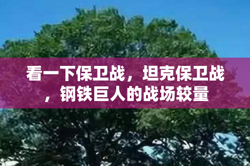 钢铁巨人的战场较量图片