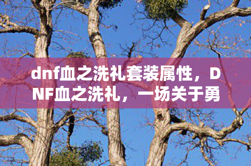 一场关于勇气与牺牲的冒险之旅图片