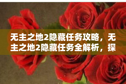 无主之地2隐藏任务全解析图片