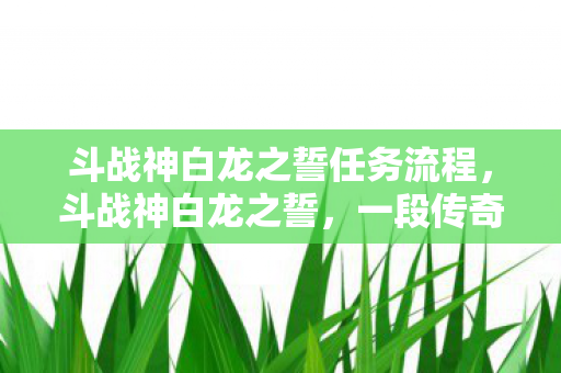 斗战神白龙之誓任务流程图片