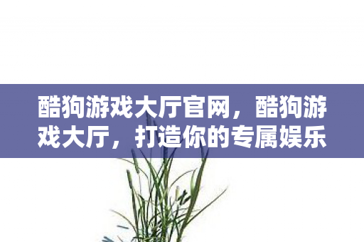 打造你的专属娱乐天地图片