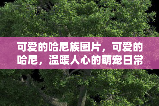 温暖人心的萌宠日常图片