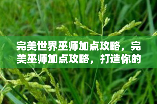 完美世界巫师加点攻略图片